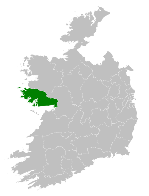 Galway West (Dáil constituency)